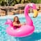 PoolCandy 48"Special Edition Motorized Flamingo Tube Runner